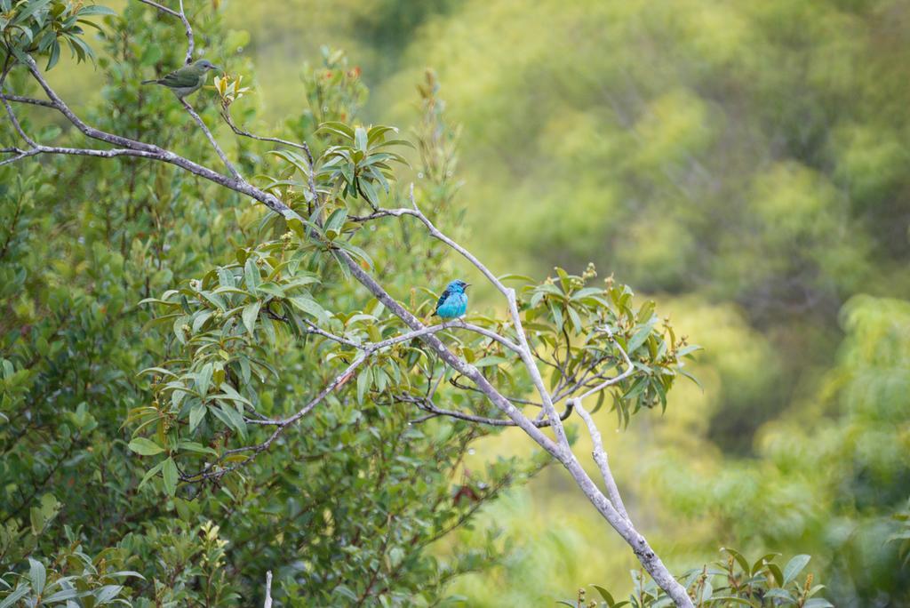 Pousada Mangabeiras Velha Boipeba Экстерьер фото